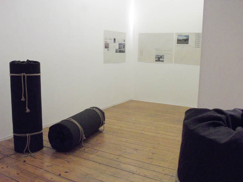 http://www.articlegallery.co.uk/files/gimgs/th-22_Nikki Pugh -Possibility Probe 1.jpg